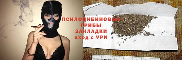 ECSTASY Горняк