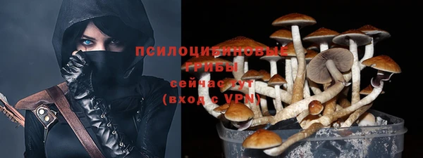 спиды Вяземский