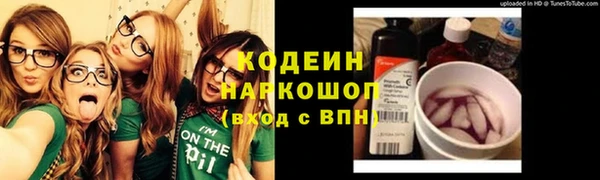 спиды Вяземский