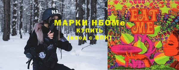 ECSTASY Горняк