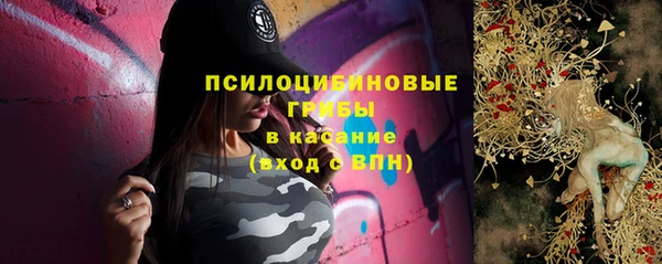 спиды Вяземский
