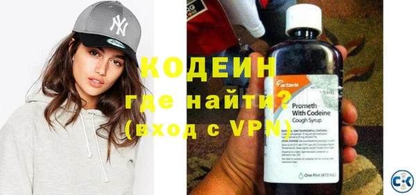 спиды Вяземский