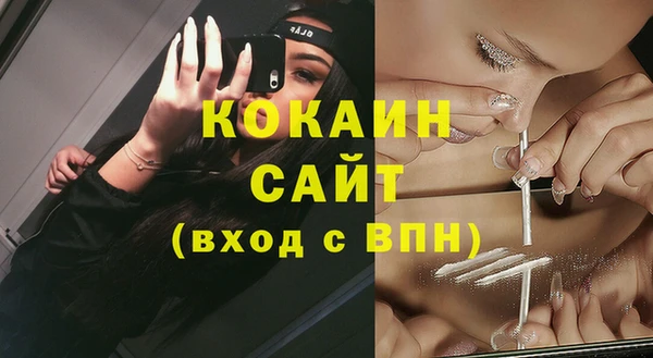спиды Вяземский