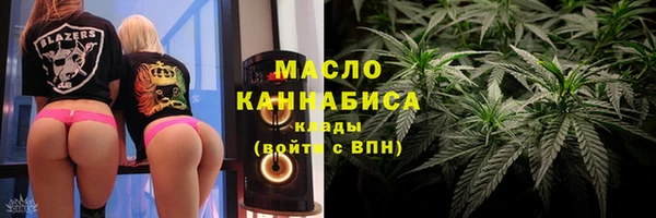 спиды Вяземский