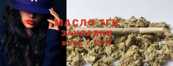 ECSTASY Горняк