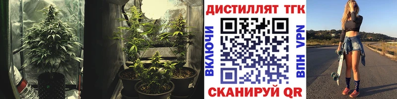 ТГК жижа  Купить закладки  Хотьково 