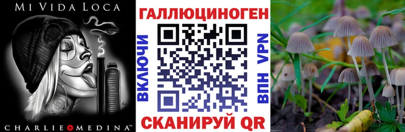 Купить где  Хотьково  Псилоцибиновые грибы Cubensis 